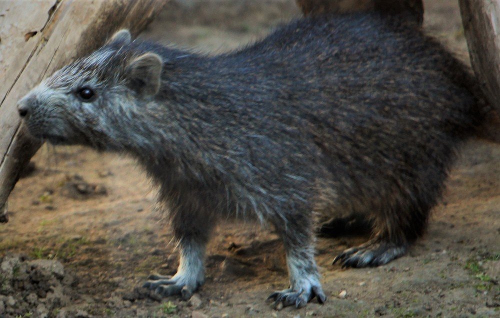 Photograph by Людмила Бутова