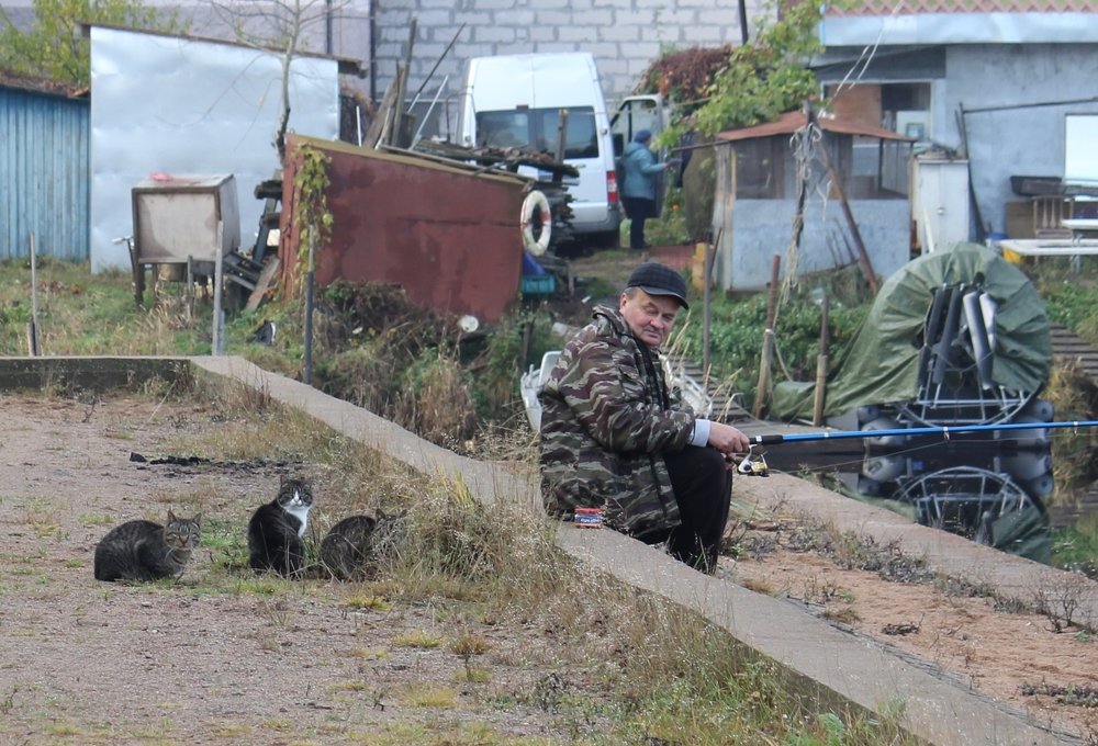 Photograph by Ирина Комарова