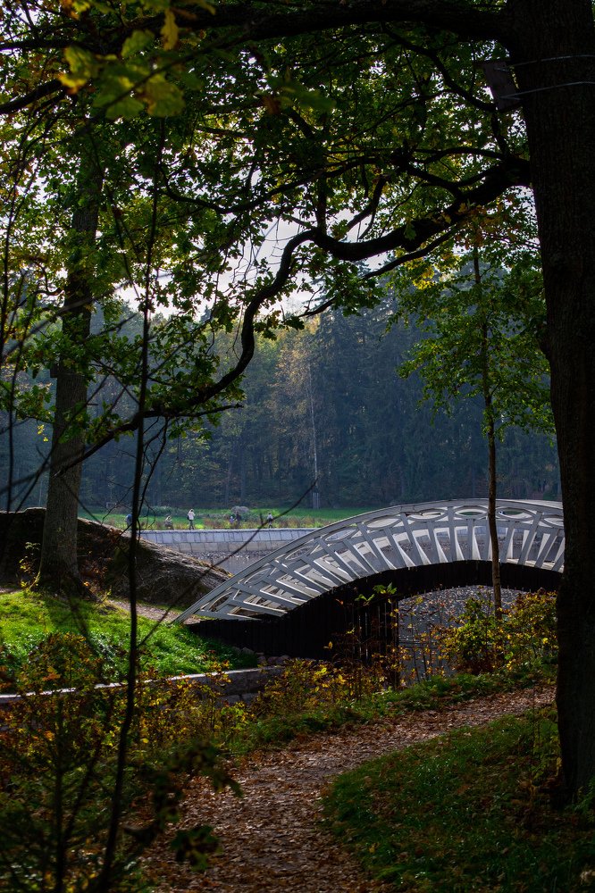 Photograph by Nora Cheprasova