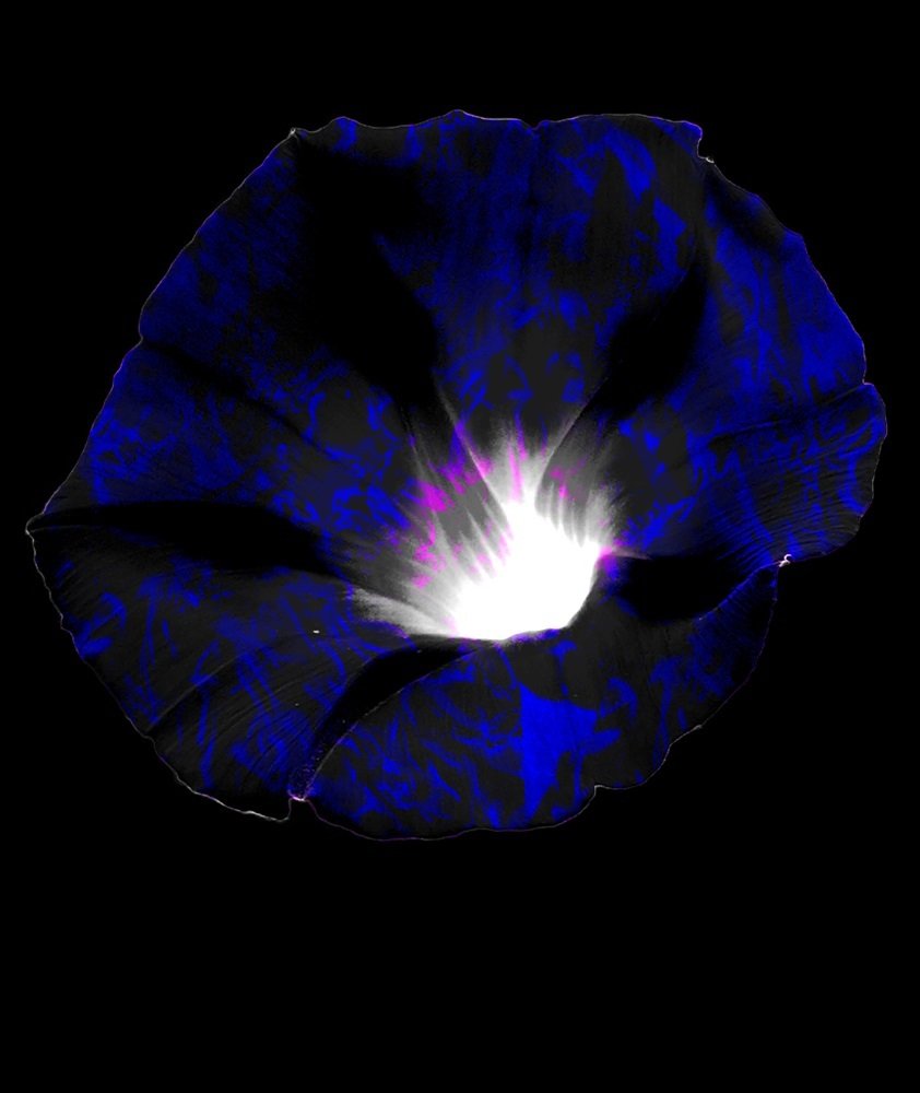 Photograph by V. Kimani