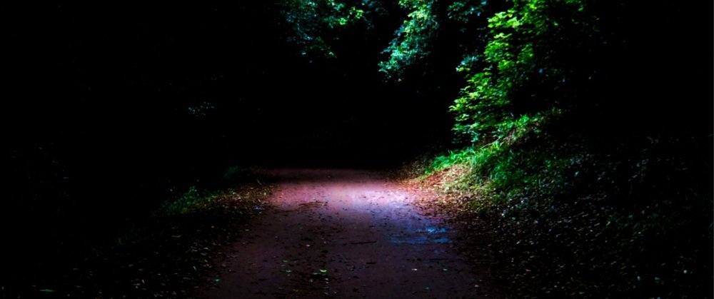 Photograph by V. Kimani