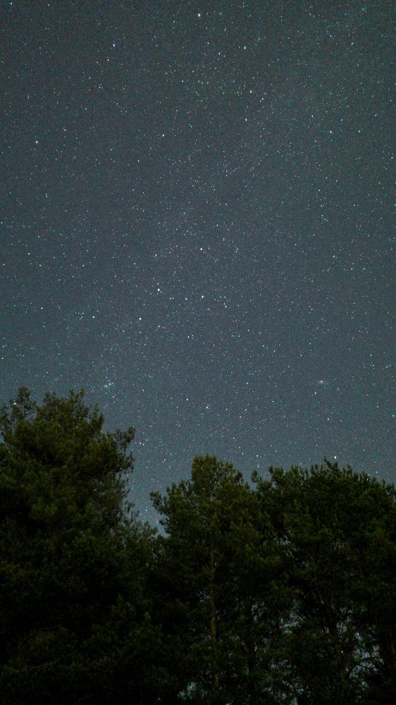 Звёздная ночь