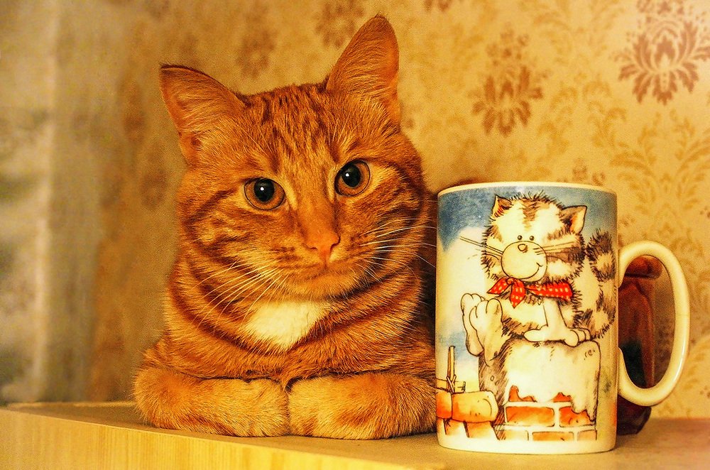 Photograph by Эдуард Шадров