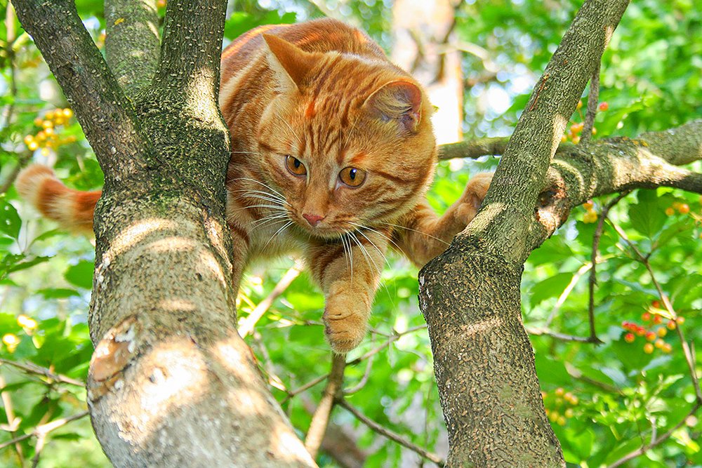 Photograph by Эдуард Шадров