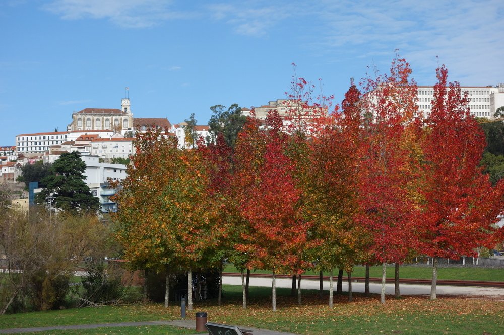 Photograph by Manuela Pereira