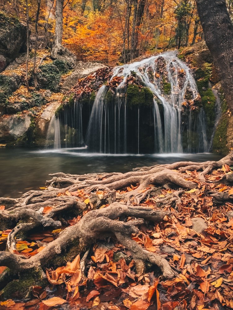 Photograph by Вера Силкина