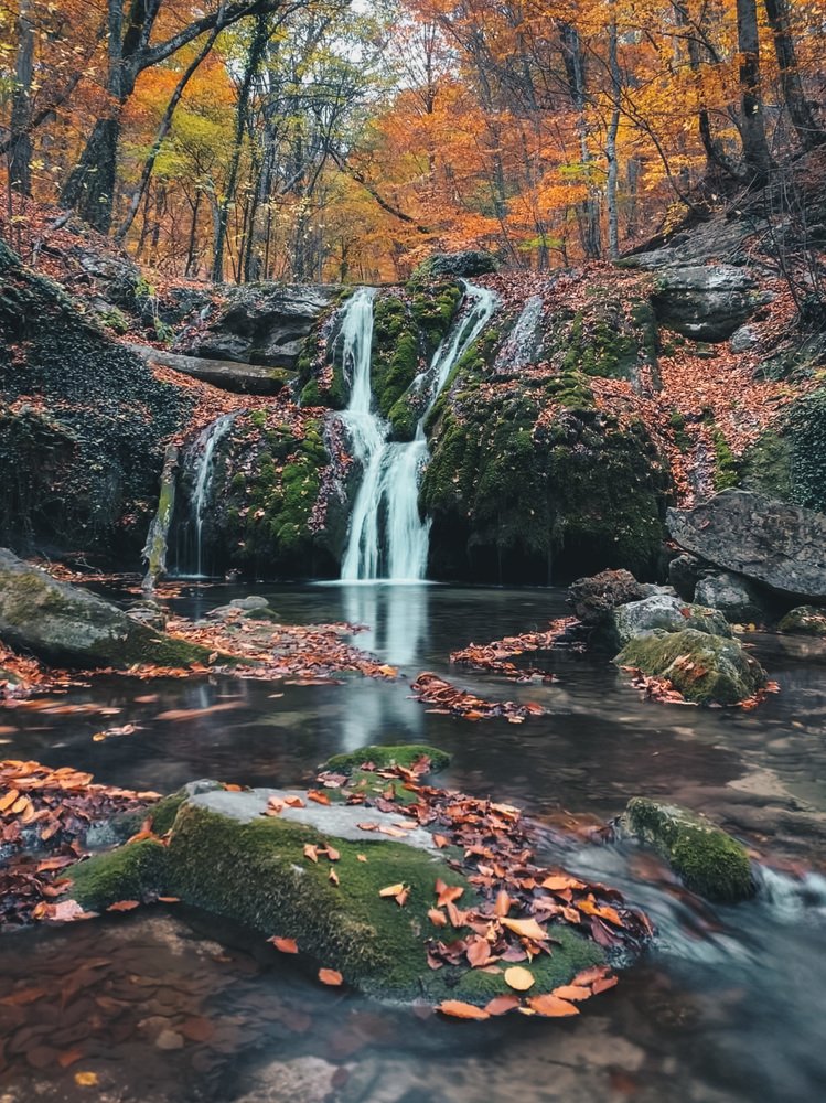 Photograph by Вера Силкина