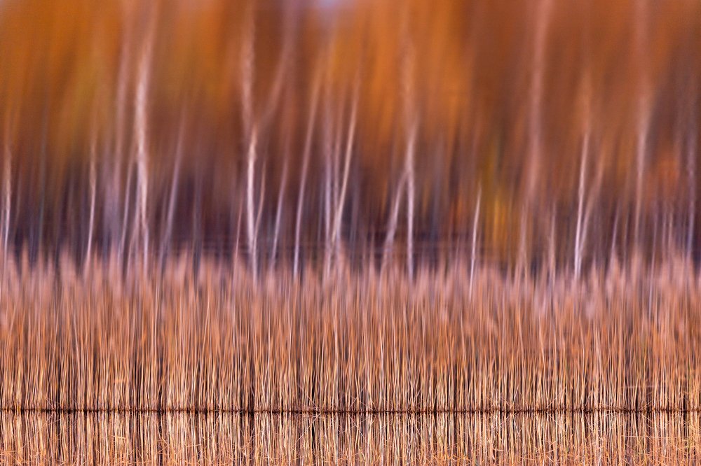 Photograph by Барабанов Алексей