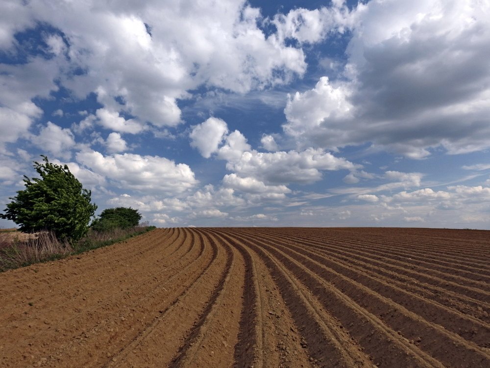 Photograph by Dejan Adžić