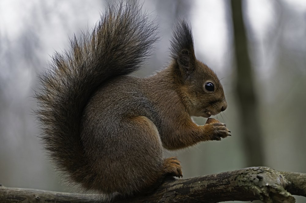 Photograph by Viktor Makarov