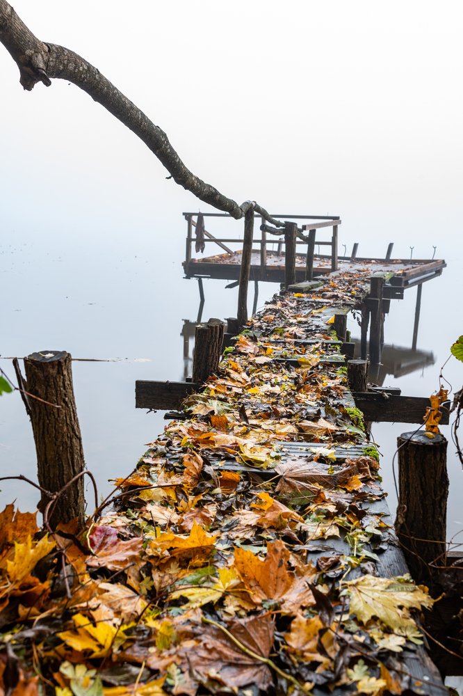 Фотография автора Krzysztof Kościesza