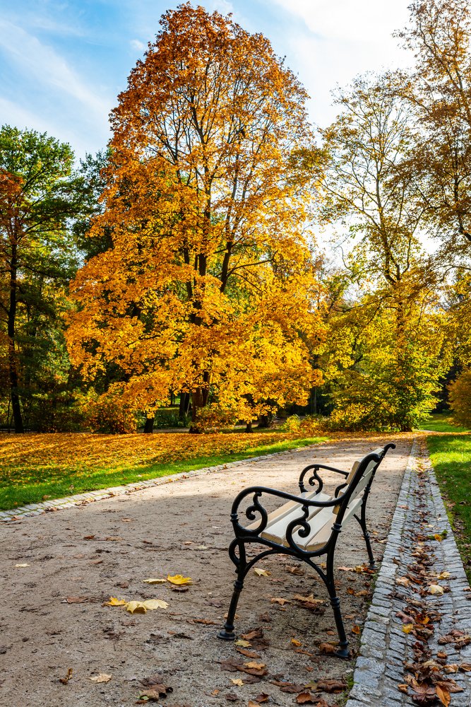 Фотография автора Krzysztof Kościesza