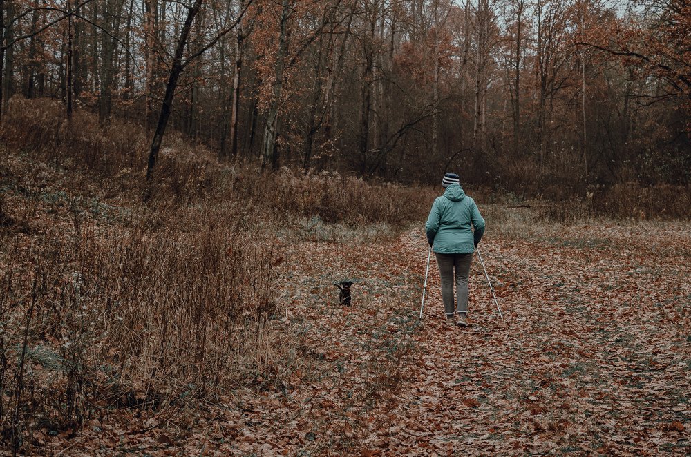 Walking with a dog in the woods