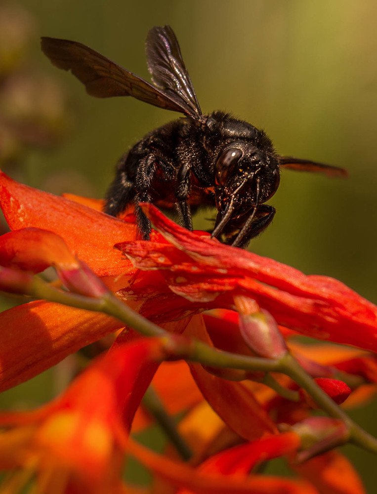 Photograph by Jorge Bagnuoli