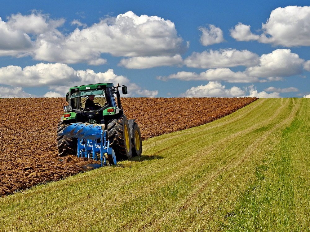 Photograph by Dejan Adžić