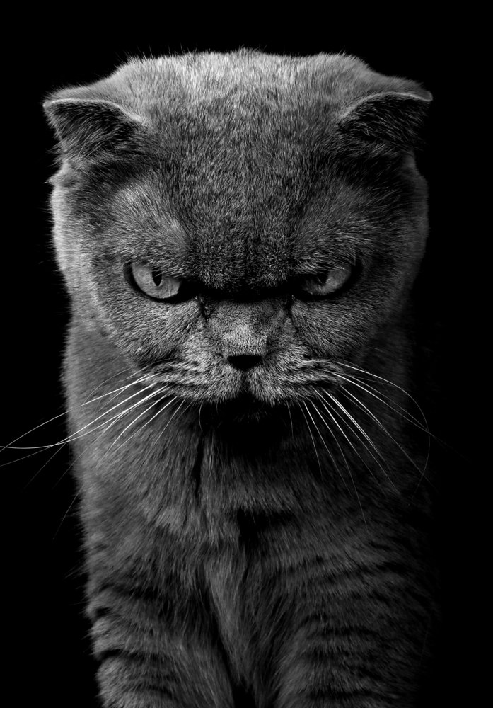 Photograph by Александр Замятин