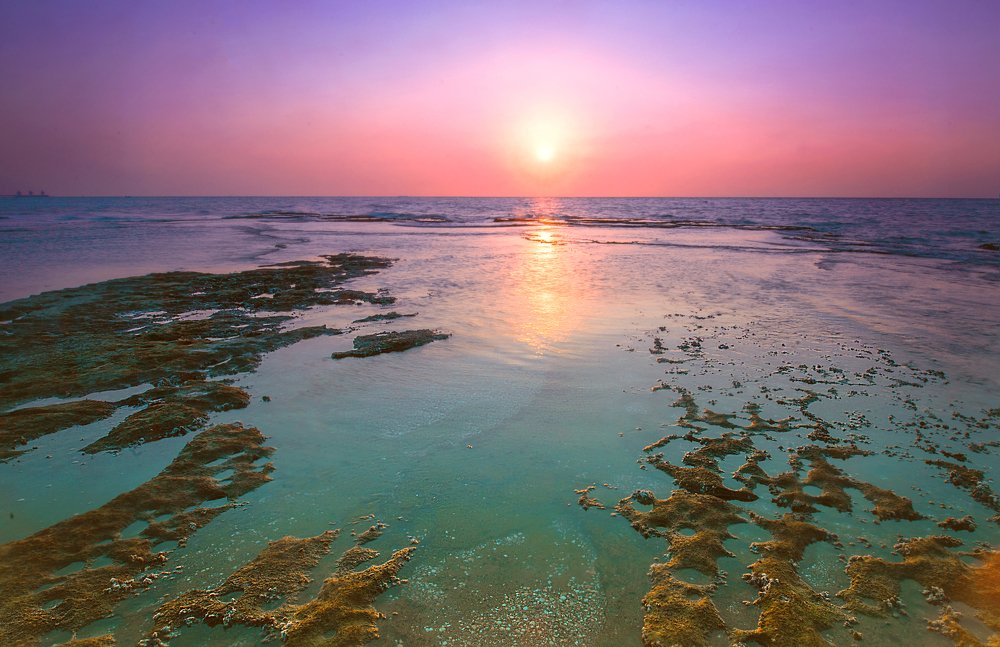 Photograph by Александр Бен Сандлер