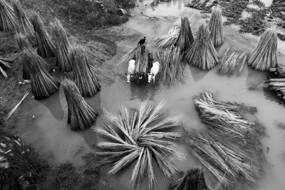 Photograph by Bishnu Goenka