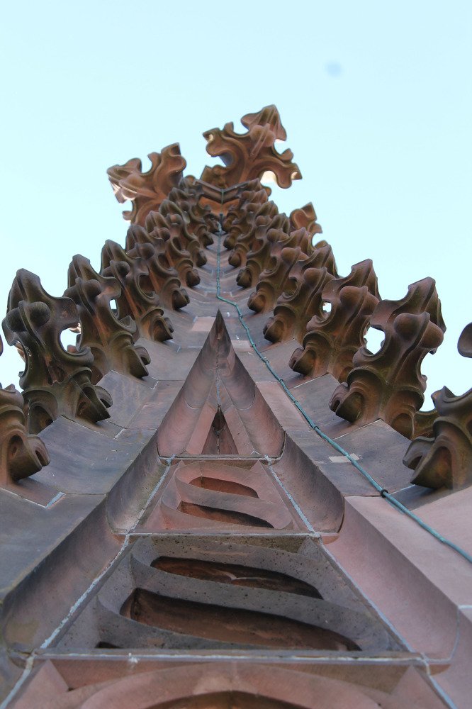 Photograph by Диана Ульянцева