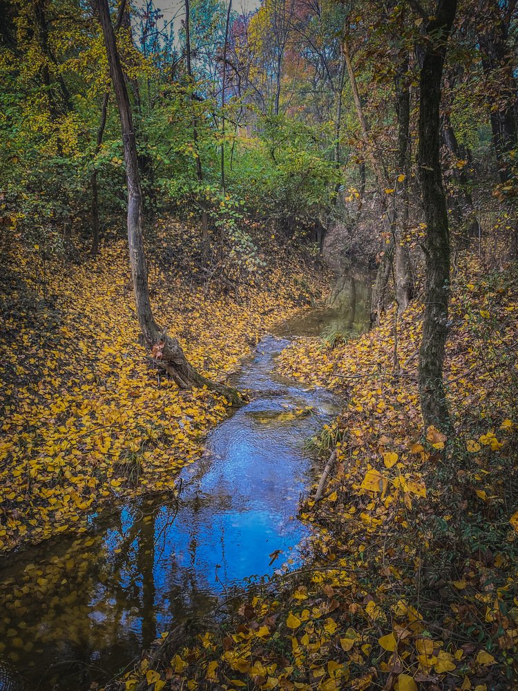River through the yellow