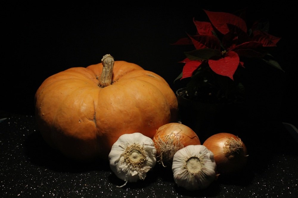 Photograph by Francisco Ferreira