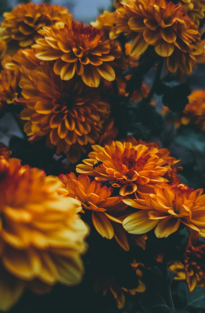 Photograph by Саламбек Ханкушов