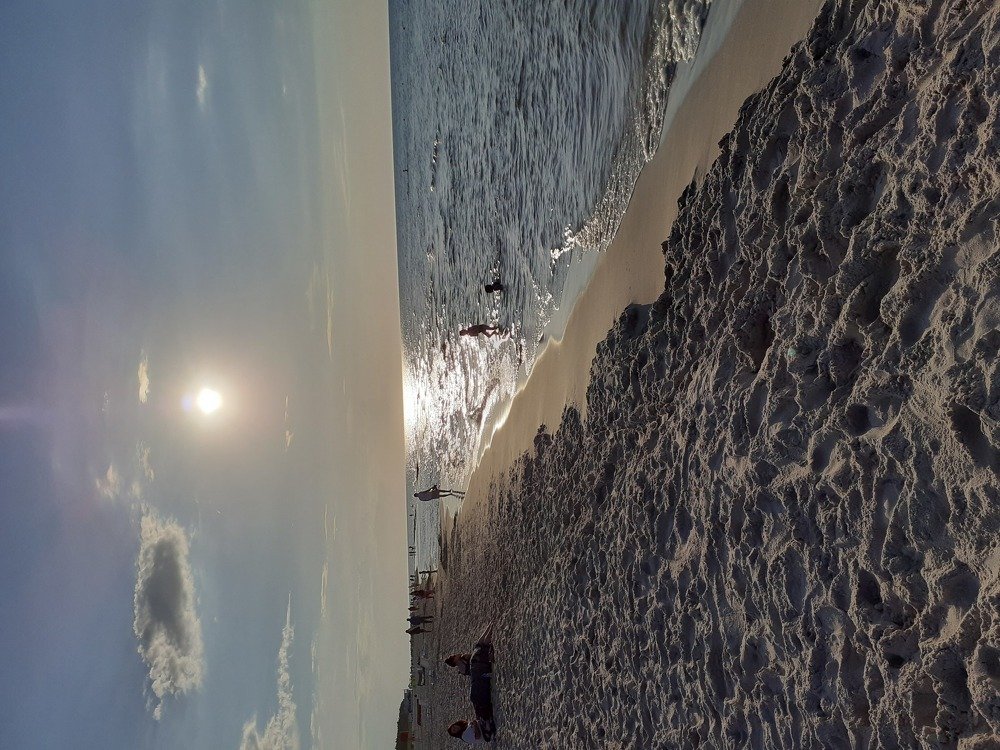 Photo #5239142
