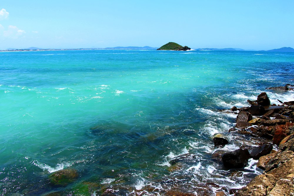 Photograph by Tatiana Barthem