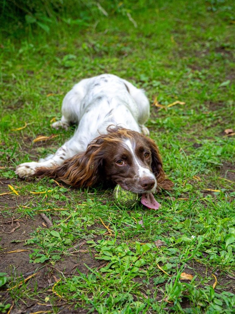 Photograph by Timea Kovacs