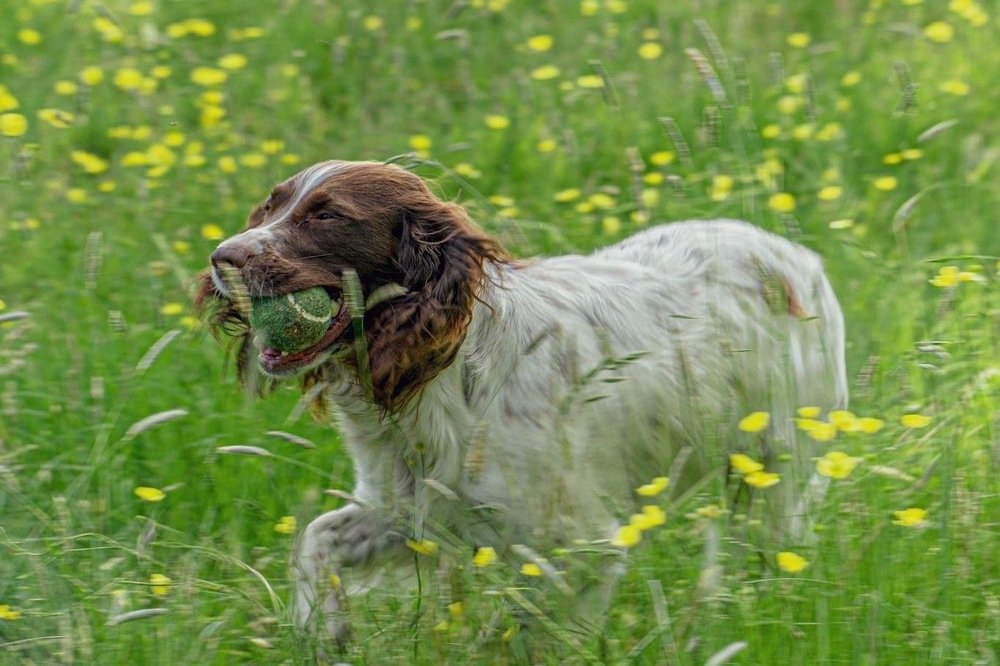 Photograph by Timea Kovacs