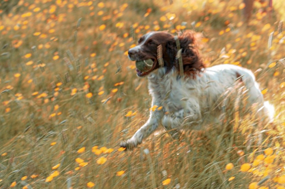 Photograph by Timea Kovacs