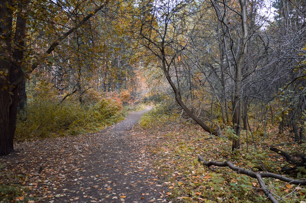 Photograph by Денис Ершов