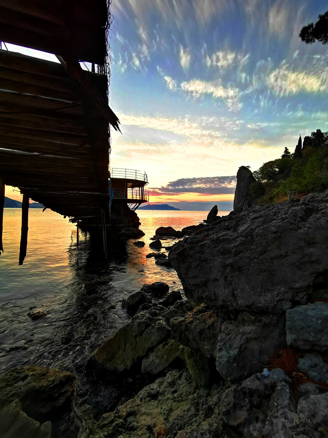 Photo #5239264