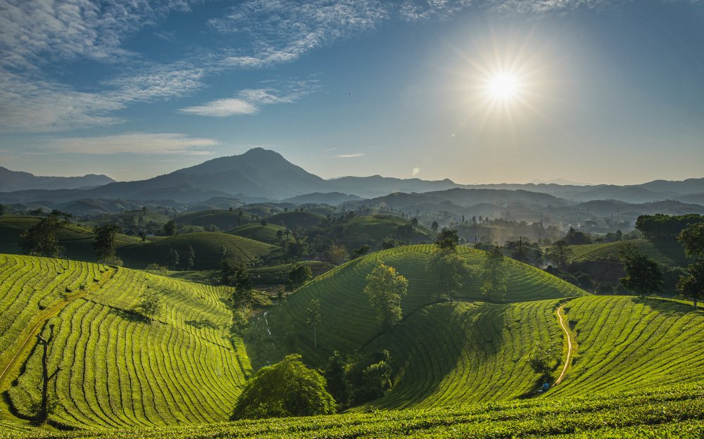 Photograph by Dương Nguyễn