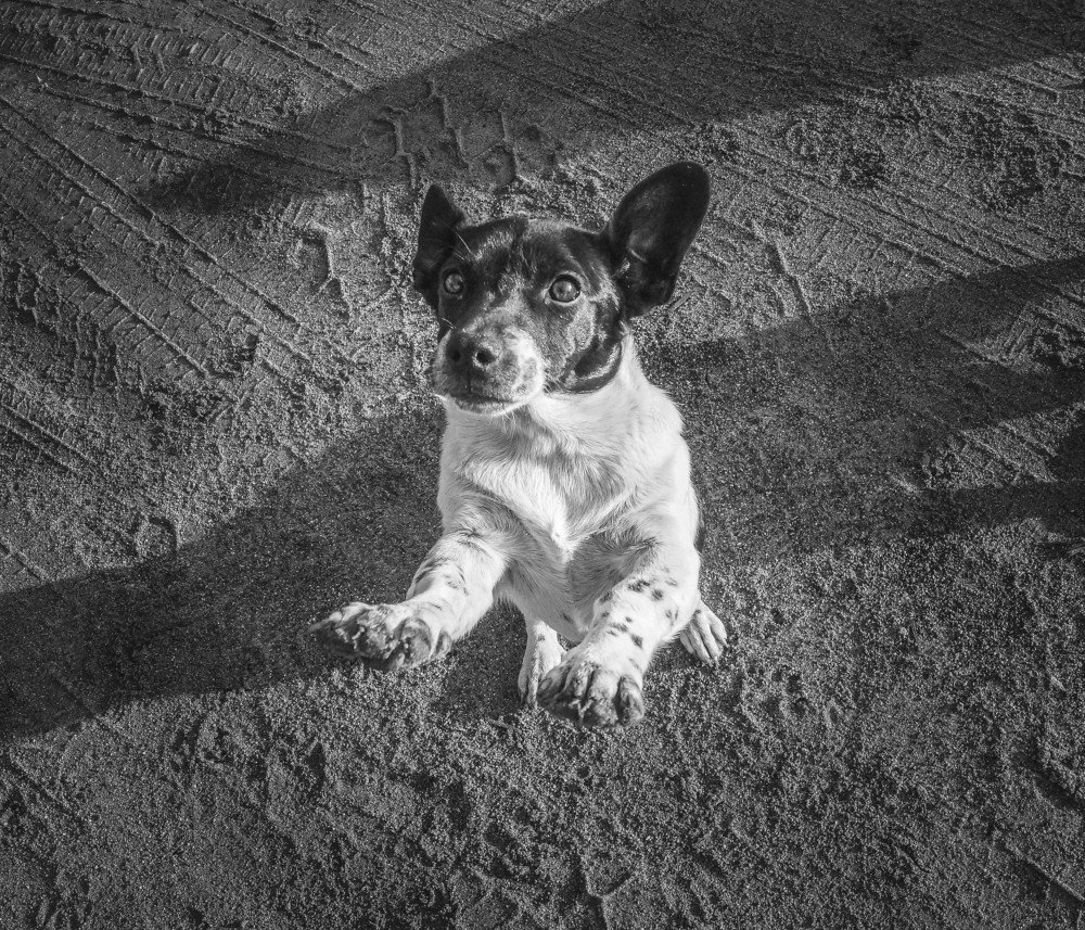 Photograph by Валерия