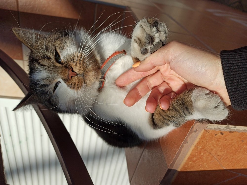 Photograph by Лена Силайчева