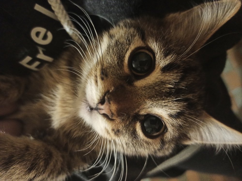 Photograph by Лена Силайчева