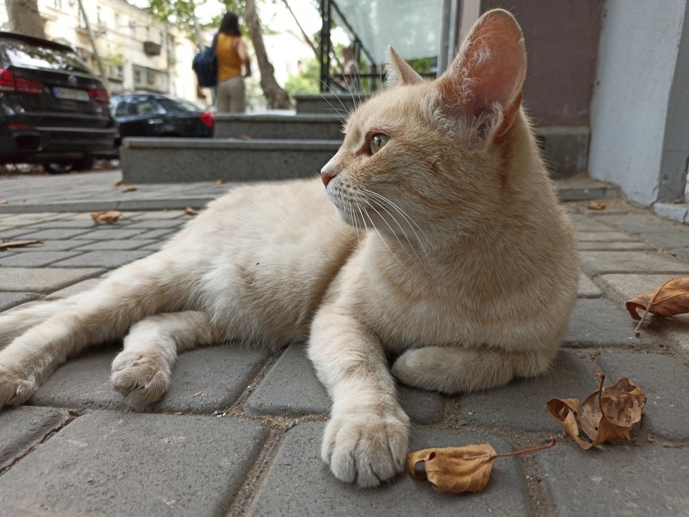 Photograph by Лена Силайчева