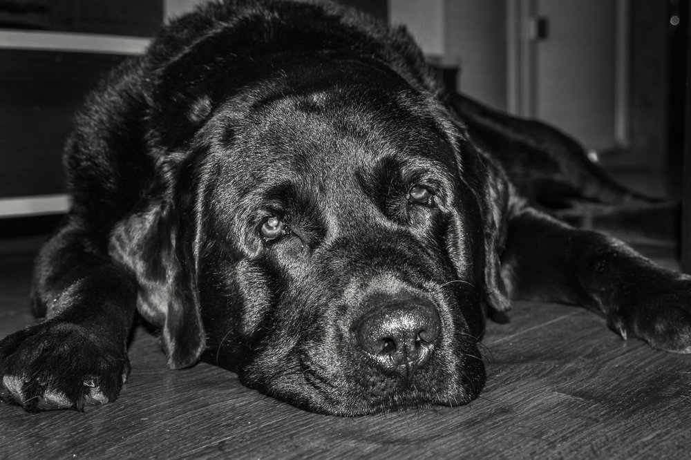 Фотография автора Степан Филев