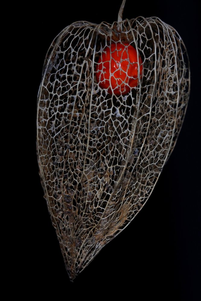 Photograph by Jurga Siauciuniene