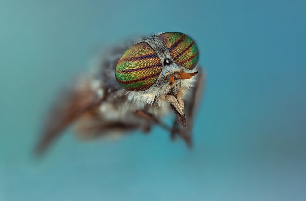 Photograph by Сергей Романченко