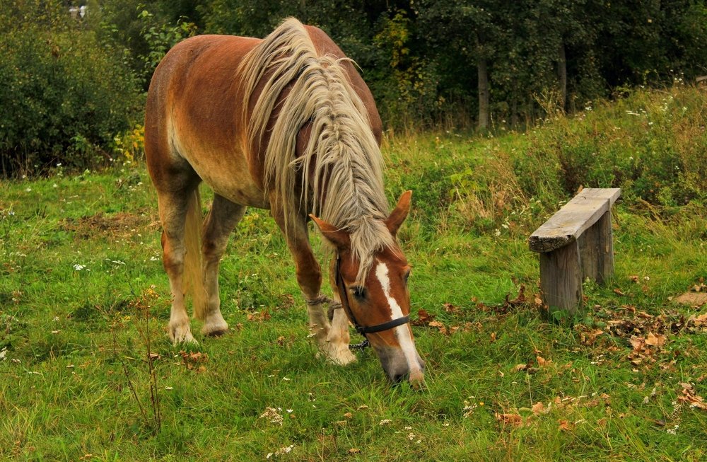 Photograph by Сергей Кожевников