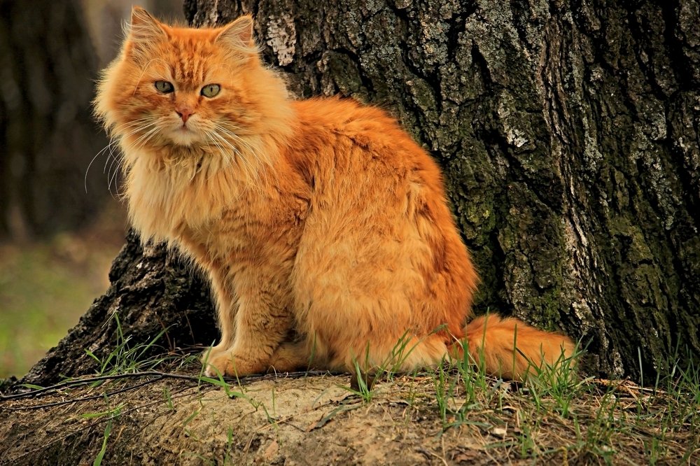 Photograph by Сергей Кожевников