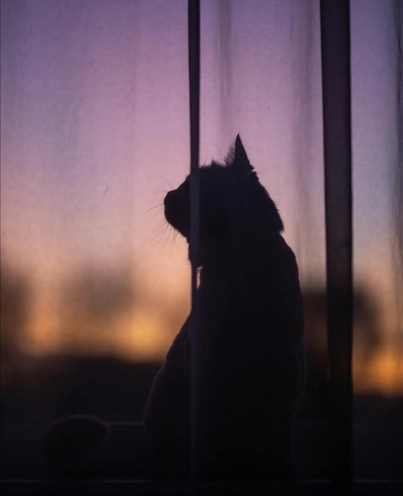 Photograph by Ирина Травникова