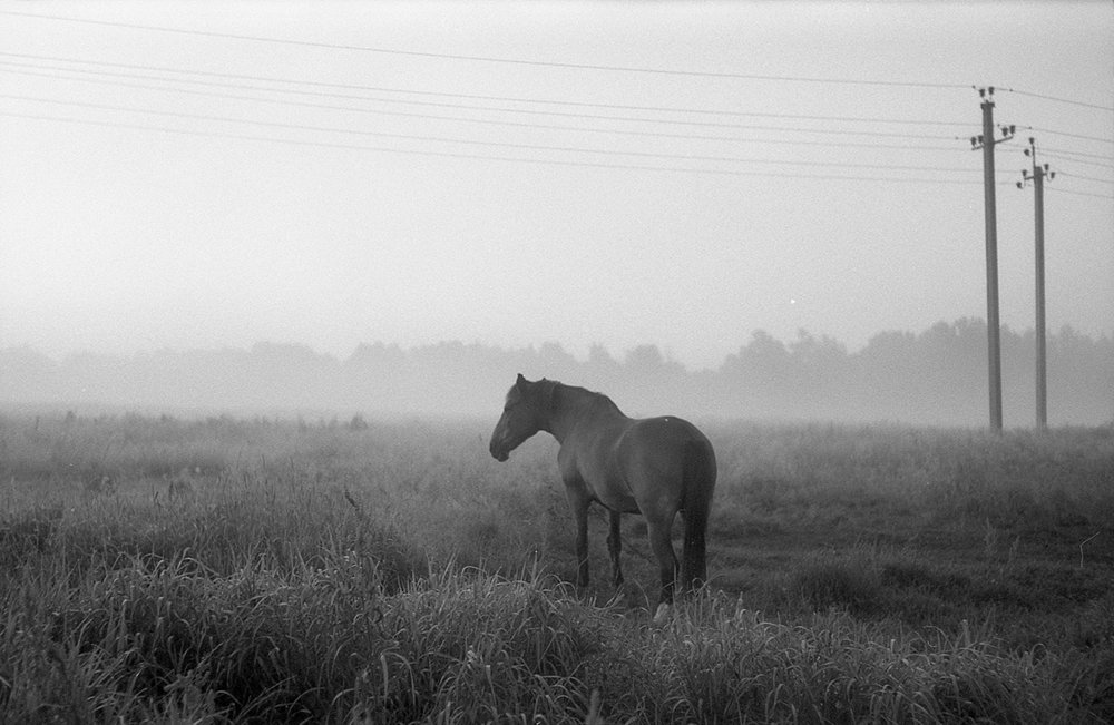 Photograph by Mara Fauque