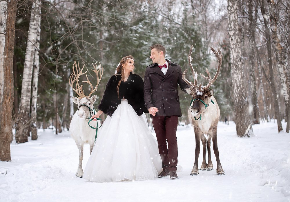 Photograph by Татьяна Припорова