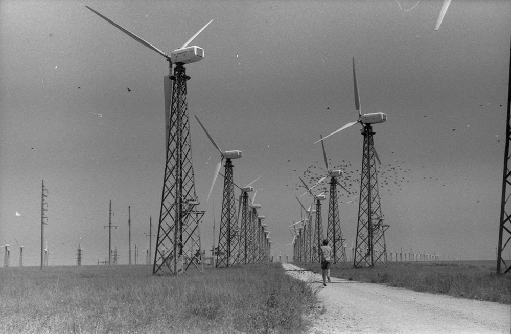 Photograph by Mara Fauque