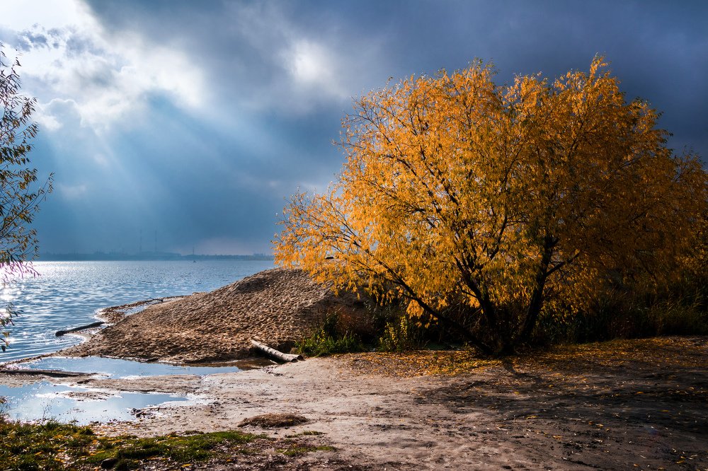 Photograph by Дмитрий Тимин