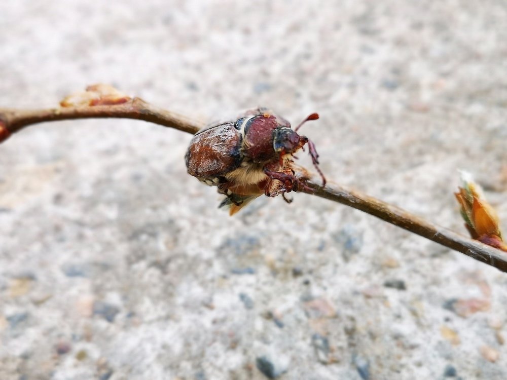 Photograph by Ольга Темкина