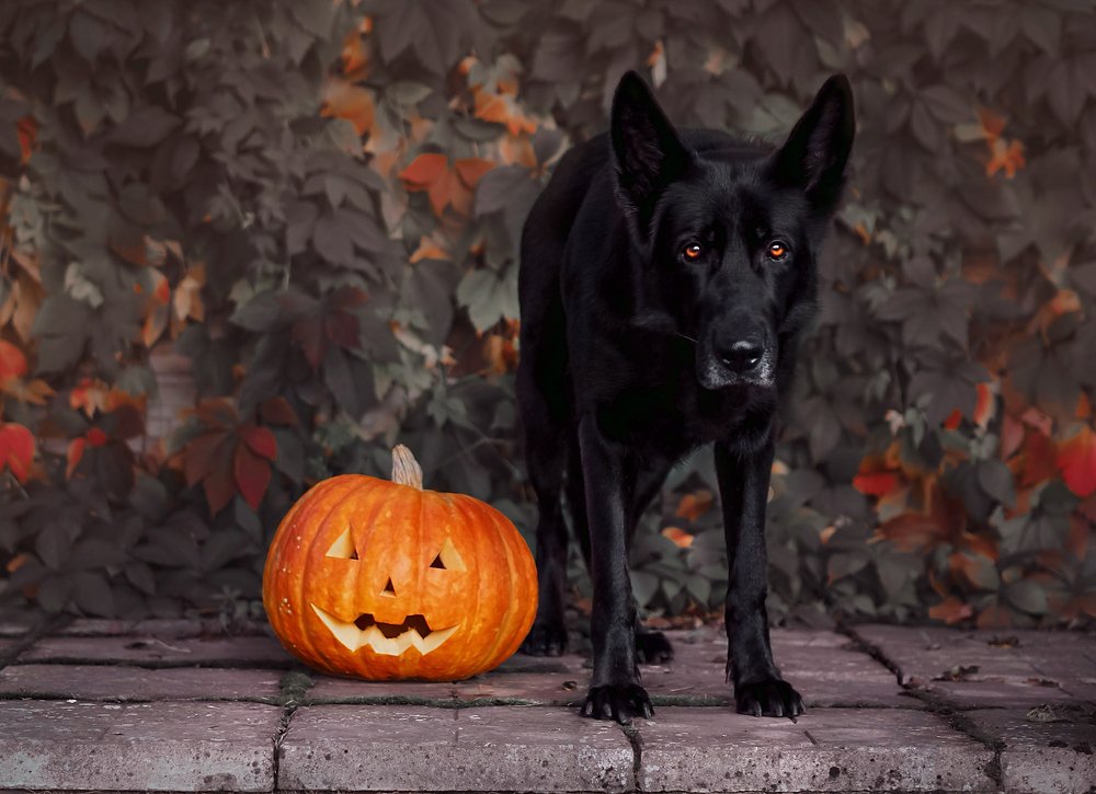 Photograph by Ирина Семёнова